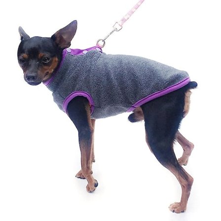 2 st Hundvalp Vinter Varma Kläder Fleece Pullover Tröja Rock Kläder(S)Mörkgrå