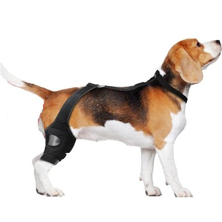 Hunde ACL knestøtte, hund knestøtte for ødelagt ACL bakben, hund ACL støtte bakben, hund benstøtte for bakben, hund hoftestøtte, korsbåndbandasje for 