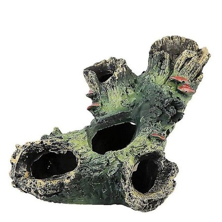 Træhul Hul Gemmested Akvarium Krybdyr Habitat Landskabshulning