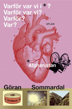 Varför var vi i Afghanistan? - Bok av Göran Sommardal - Inbunden