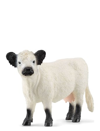 Schleich | Schleich Galloway Cow | ONE SIZE