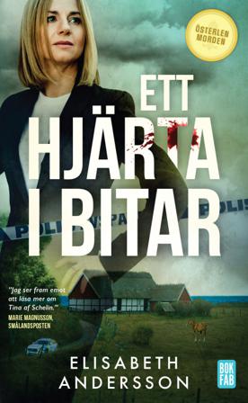 Ett hjärta i bitar - Bok av Elisabeth Andersson - Pocket