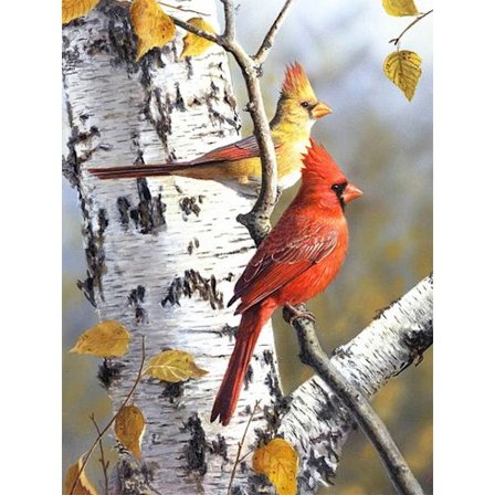 30x40cm 5D DIY Diamantmaleri Fuld,Serie Fugle#C,DIY Diamant