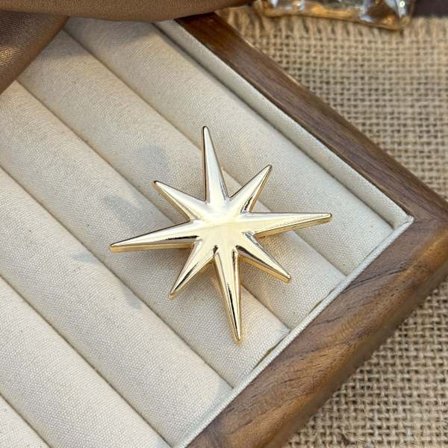 Nischad high-end ljuskänslig oregelbunden brosch dubbelanvändningsbrosch legering glansig personlig klädtillbehör