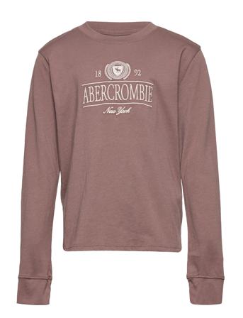 Kids Girls Graphics T-shirts Long-sleeved T-shirts Beige Abercrombie & Fitch
