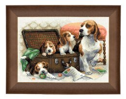 Bild Koffer mit Welpen - Riolis