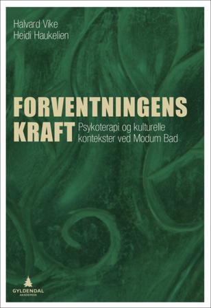 Forventningens kraft - Bok av Heidi Haukelien & Halvard Vike - Paperback