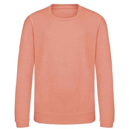 AWDis Just Hoods Barn/Barn Sweatshirt 9-11 År Dusty Pin Dusty Pink 9-11 Years