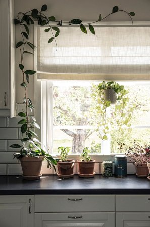 Hasta - Hissgardin Lina - Vit - Hissgardiner - 80 - Från Homeroom