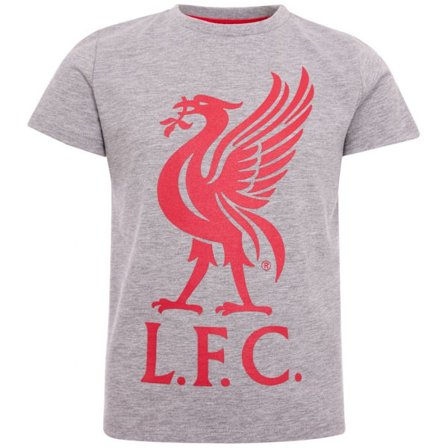 Liverpool T-paita LIVERBIRD Junior Harmaa