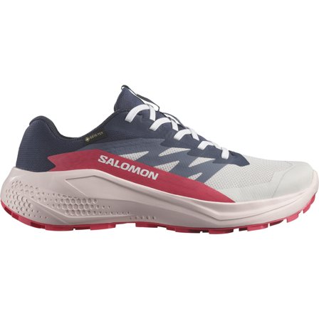 Salomon Alphaglide GTX W Lunar Rock/Blue Nights/Rouge Red