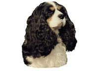 Cavalier king charles spaniel trefarget - klistremerker