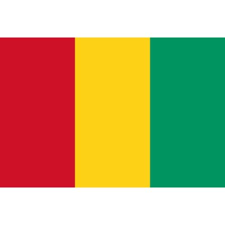 Guinea flagg