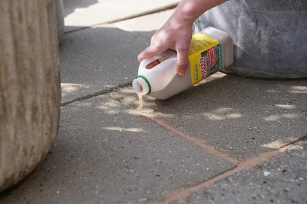 ECOstyle MyreFri Myresand 1 liter, Tøj & Bolig, Skadedyrsbekæmpelse, Myrer