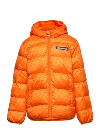 El Provenzano Jnr Padded Jacket Toppatakki Oranssi Ellesse