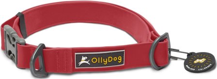 OllyDog Tilden Collar Red