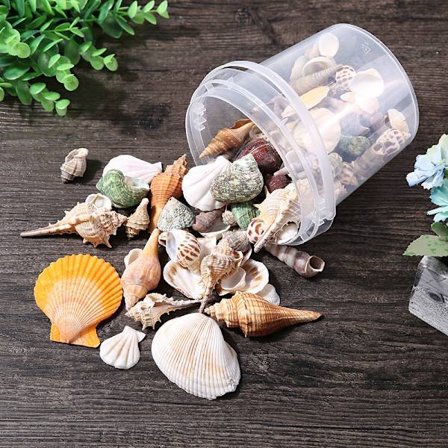 Simpukankuori-meritähtinen koriste - Maisemabaarin tarvikkeet - Maisemakoristeet etanatankeille - Kodin koristeet (330 g, satunnainen tyyli)