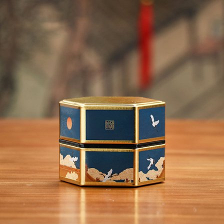 Hexagonal plåt förvaringslåda Lufttät behållare case för