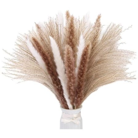 60 stk. tørret pampasgræs dekoration, 17,5 tommer naturlige pampasgræs grene, pampasgræs buket til bryllup, boho boligindretning