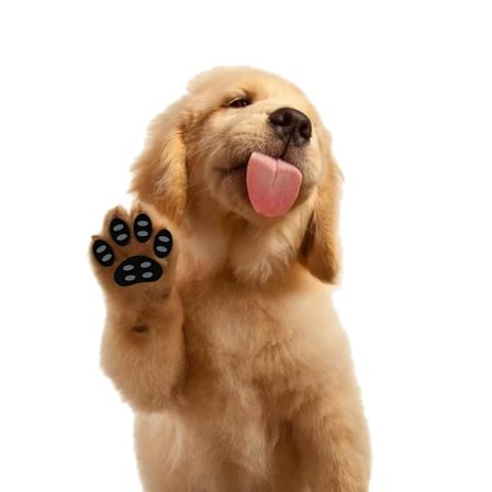 Halkfria vattentäta handtag för hundtassar L