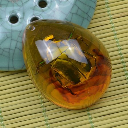 Butterfly Amber Stone Insect Spcimen Riipus BEETLE BEETLE