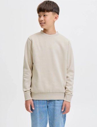 Jack & Jones Jjjin Sweat Crew Neck Jnr - Cream - 176