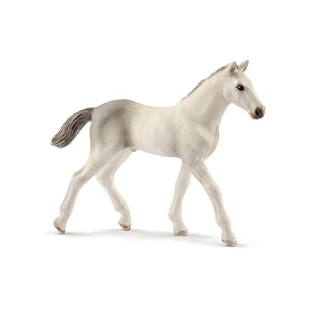 Schleich Holsteiner Föl 13860 Multifärg