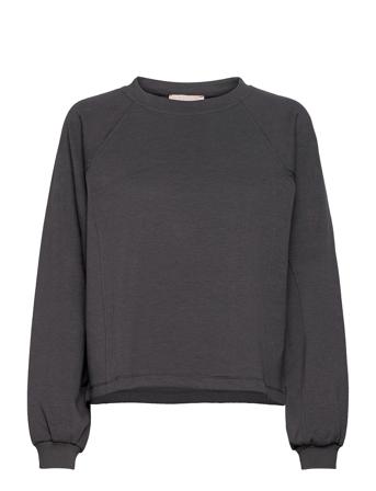 Srcara Ls Raglan Sweat Sweat-shirt Tröja Grå Soft Rebels