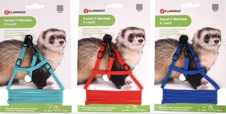 Y-sele og Leiebånd til Ilder