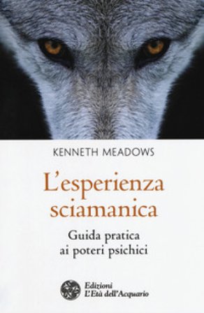 L'esperienza sciamanica. Guida pratica ai poteri psichici Kenneth Meadows