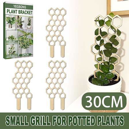 Haveplanter espalier klatring pergola balkon dekoration støtte blomsterarrangement hjem træ pott