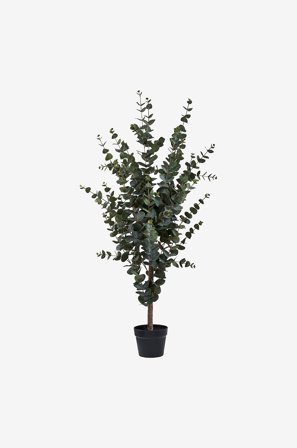 House Nordic - Eukalyptus tre - Grønn - Kunstige planter & blomster - Fra Homeroom