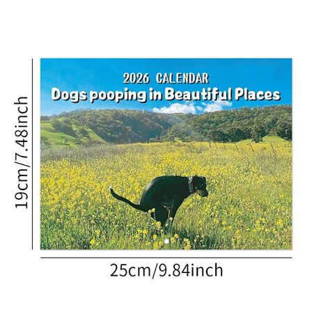 Kalender 2026 Sjov Hund Vægkalender Skidende Hund Kalender Vægkunst Gag Humor Gave Praktisk Joke Kalender til Fødsel,as