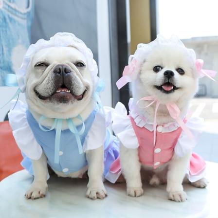 Lemmikki Kissa Koira Cosplay Neitoasu Vaatteet Halloween Lemmikkipuku Halloweenille