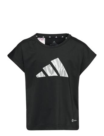Aeroready Training Graphic Tee T-shirts Sports Tops Svart Adidas Performance
