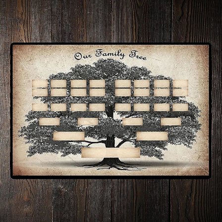 Slægtstræ til udfyldning 5/6/7 generationers slægtsforskning Plakat Blankt udfyldeligt stamtræ