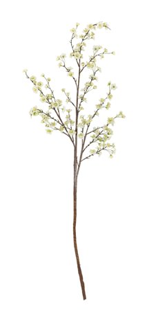 Bloomingville Kunstig Gren Eplekvist H152