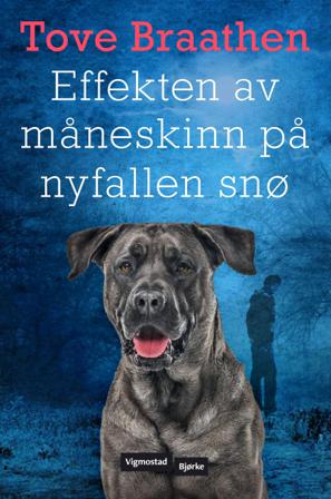 Effekten av måneskinn på nyfallen snø - Bok av Tove Braathen - Hardback
