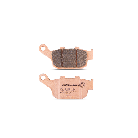 Gesinterte Motorrad-Bremsbeläge Hinten Proworks Sinter Street - Kawasaki Z 800 e 2013-2016