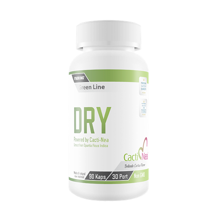 Fairing DRY Koffeinfri Fettförbrännare 90 Kapslar