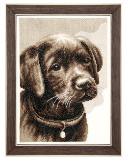 Bild Carlos - Vervaco