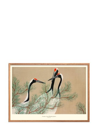 Poster & Frame Cranes-From-Momoyogusa - Multi/patterned - 50X70CM