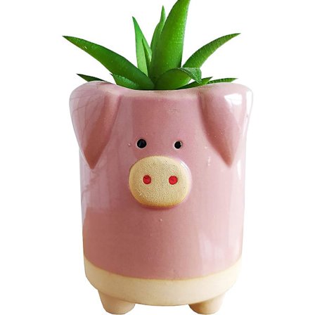 Sukkulent Potter, Søde Tegneserie Hjemmedekoration Keramik Sukkulente Blomst Potter - Plante Ikke Inkluderet (Lille, Gris)