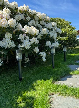 Hagespyd 3-pk m/spyd solcelledrevet - sort