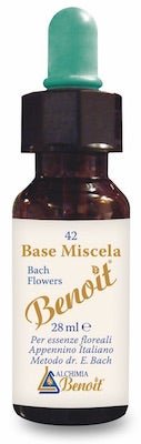 Base Miscela Benoit 28ml