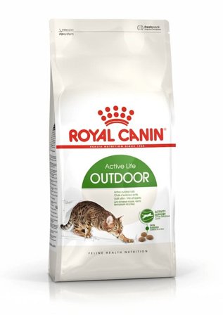 Royal Canin Active Life Outdoor Alimento Secco Per Gatti Adulti