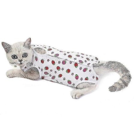 2026 Sødt Afslappet Bomuldstøj til Kæledyr Katte Hunde Hvalpe - Postoperativt Tøj efter Steriliseringskirurgi