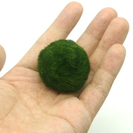 3-4 cm Marimo Moss Balls Live Aquarium Alger Fish Räktank O