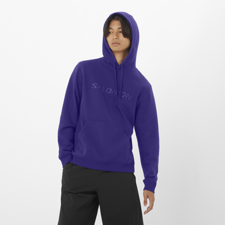 Salomon - Tussenlagen Kleding Salomon Hoodie M - Astral Aura