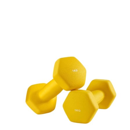 Rootz Dumbell Set - Free Wights - Träningsvikter - Rymdbesparande styrketräning - 2 x 1 kg - Gjutjärn med vinylbeläggning